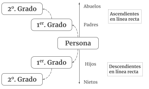 Línea recta de parentesco