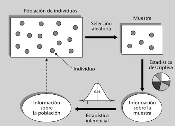 Diferencias Entre Estadistica Descriptiva E Inferenci