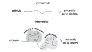 El introvertido toma más tiempo para interpretar los datos