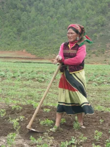 Las mujeres mosuo se encargan tradicionalmente del campo