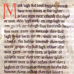 Copia del Codex Holmiensis de 1350