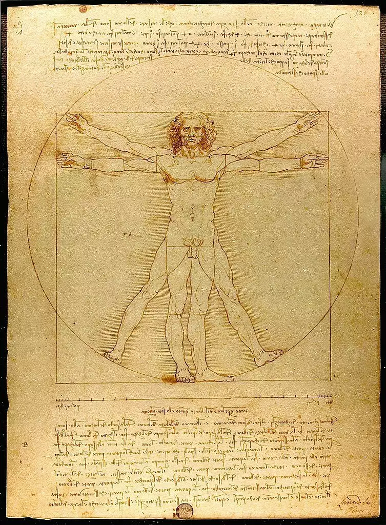 Vitruve Luc Viatour de Da Vinci, y su simbolismo sobre el estudio del hombre como la medida de las artes Vitruve Luc Viatour de Da Vinci, y su simbolismo sobre el estudio del hombre como la medida de las artes