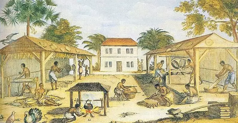 Cultivo de Tabaco en Virginia, 1670