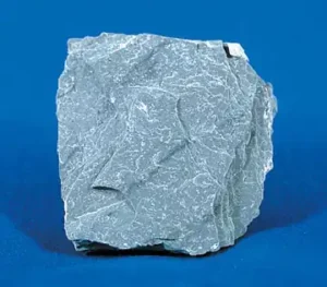Fragmento de roca de pizarra