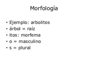 Ejemplo de morfología del español