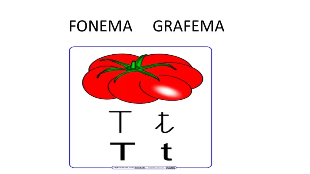 Los grafemas son la forma en que se representan las unidades mínimas de un fonema
