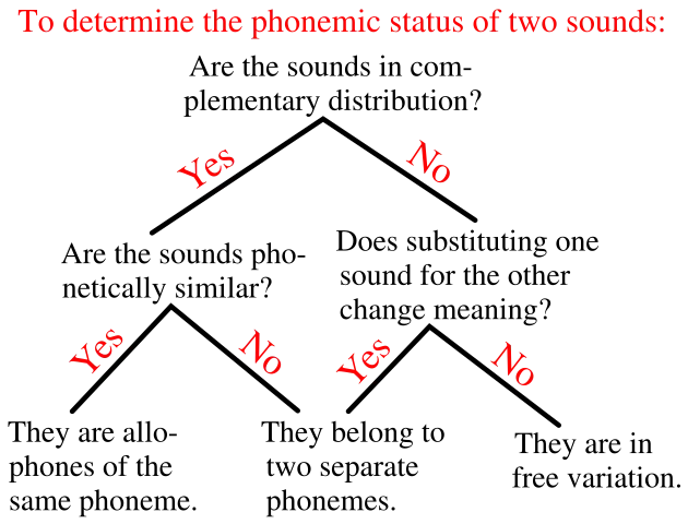 Determinación del estatus de fonema
