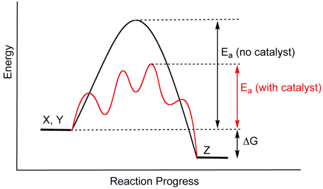 Diagrama del proceso reactivo de catálisis y no catálisis de un elemento