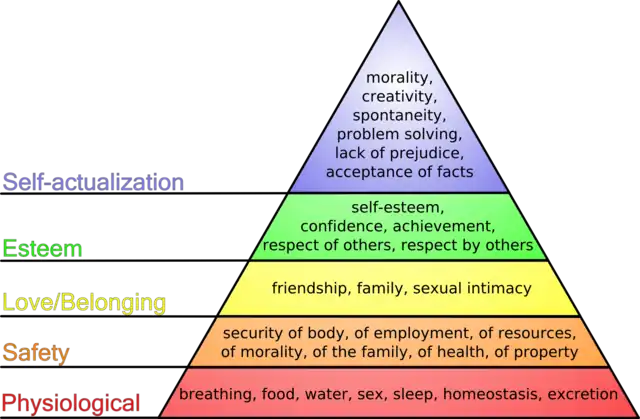 Pirámide de Maslow (inglés) la pirámide de Maslow es quizá la teoría más difundida de la psicología humanista