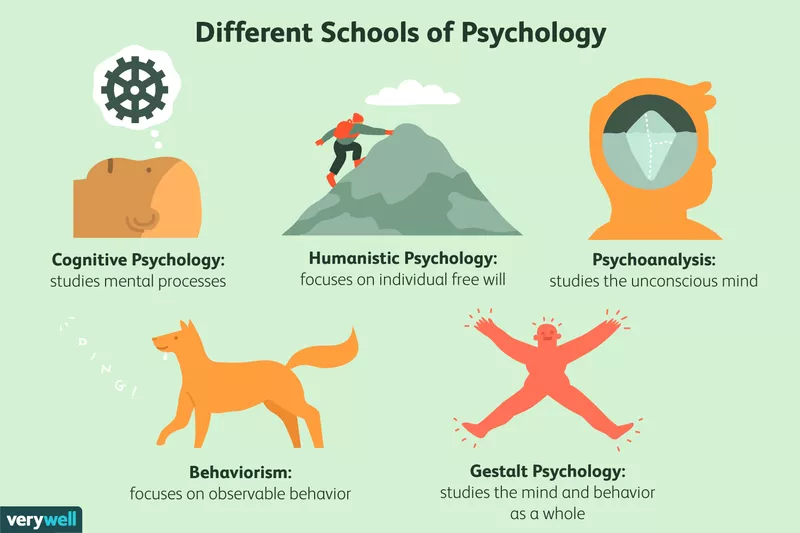 Escuelas psicológicas La psicología humanista es una de las cinco principales escuelas de estudio de la Psicología, enfocada en el desarrollo del individuo