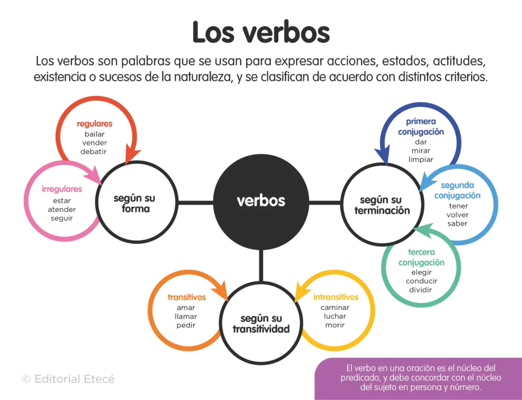 Clasificación Verbos Los verbos transitivos se encuentran dentro de la clasificación de los verbos según su transitividad