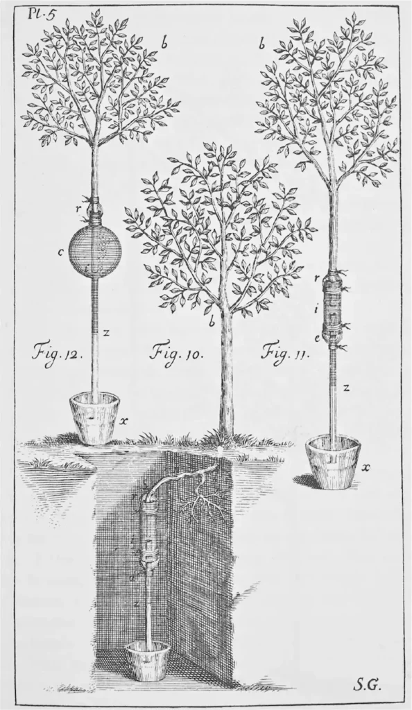 Figura de Stephen Hales dentro de sus ilustraciones de 1700 sobre botánica